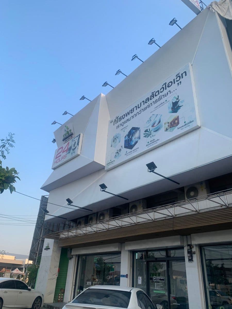 iVET Animal Hospital