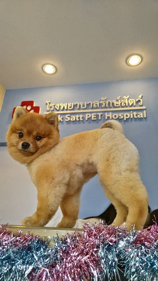 โรงพยาบาลรักษ์สัตว์