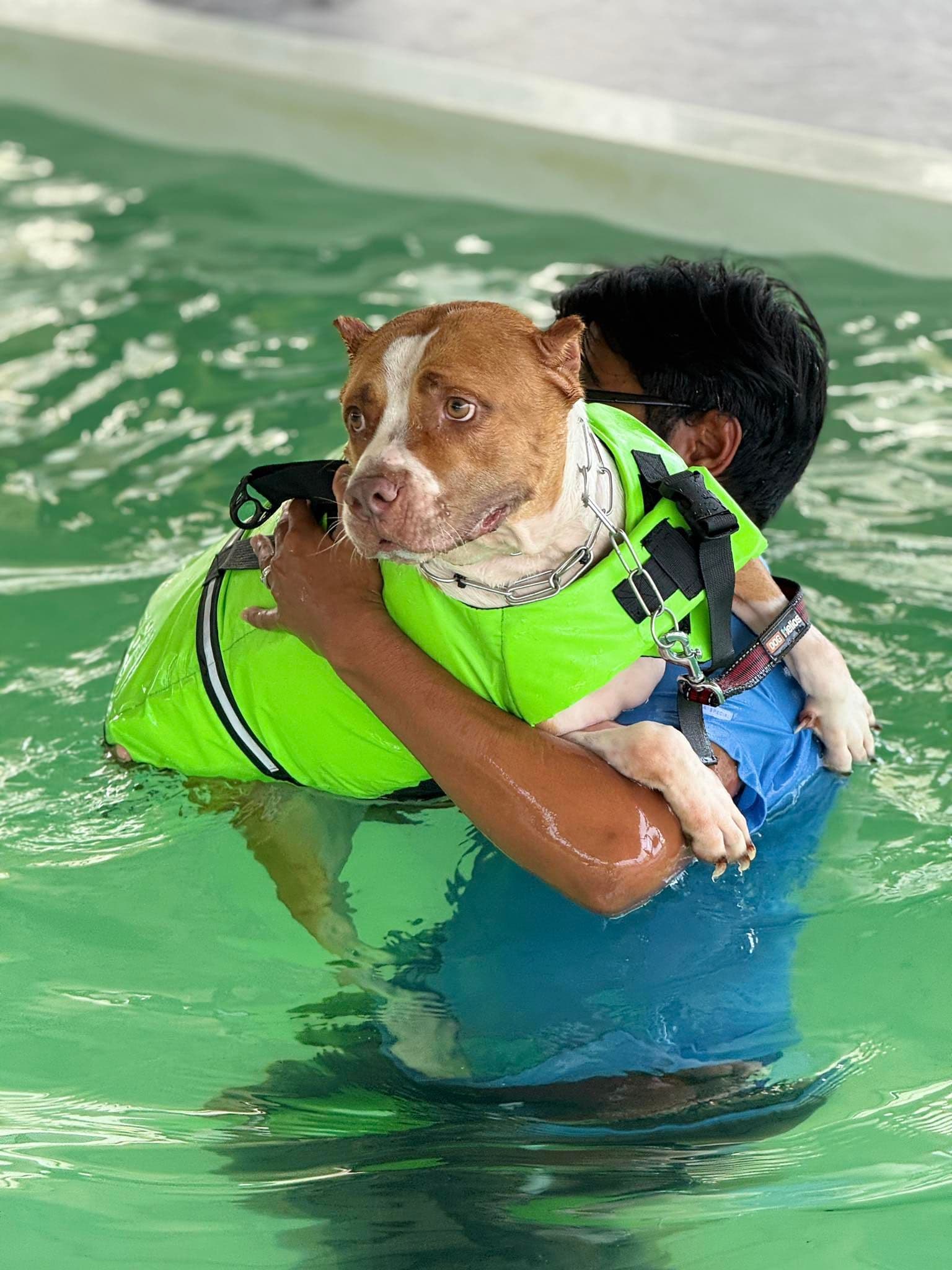 ศูนย์ฝึกสุนัข ด็อกสมายล์