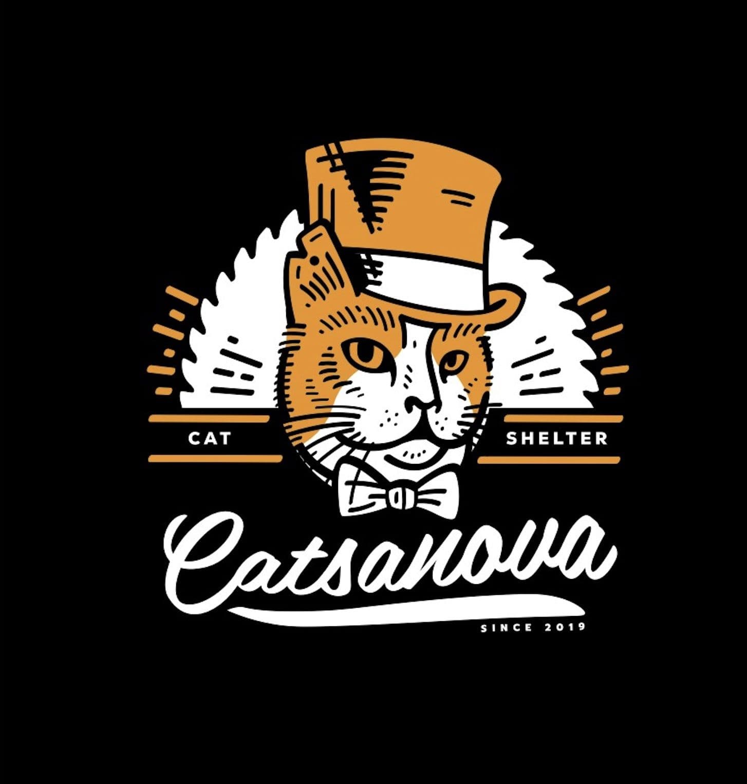 Catsanova - Adoptable Cat