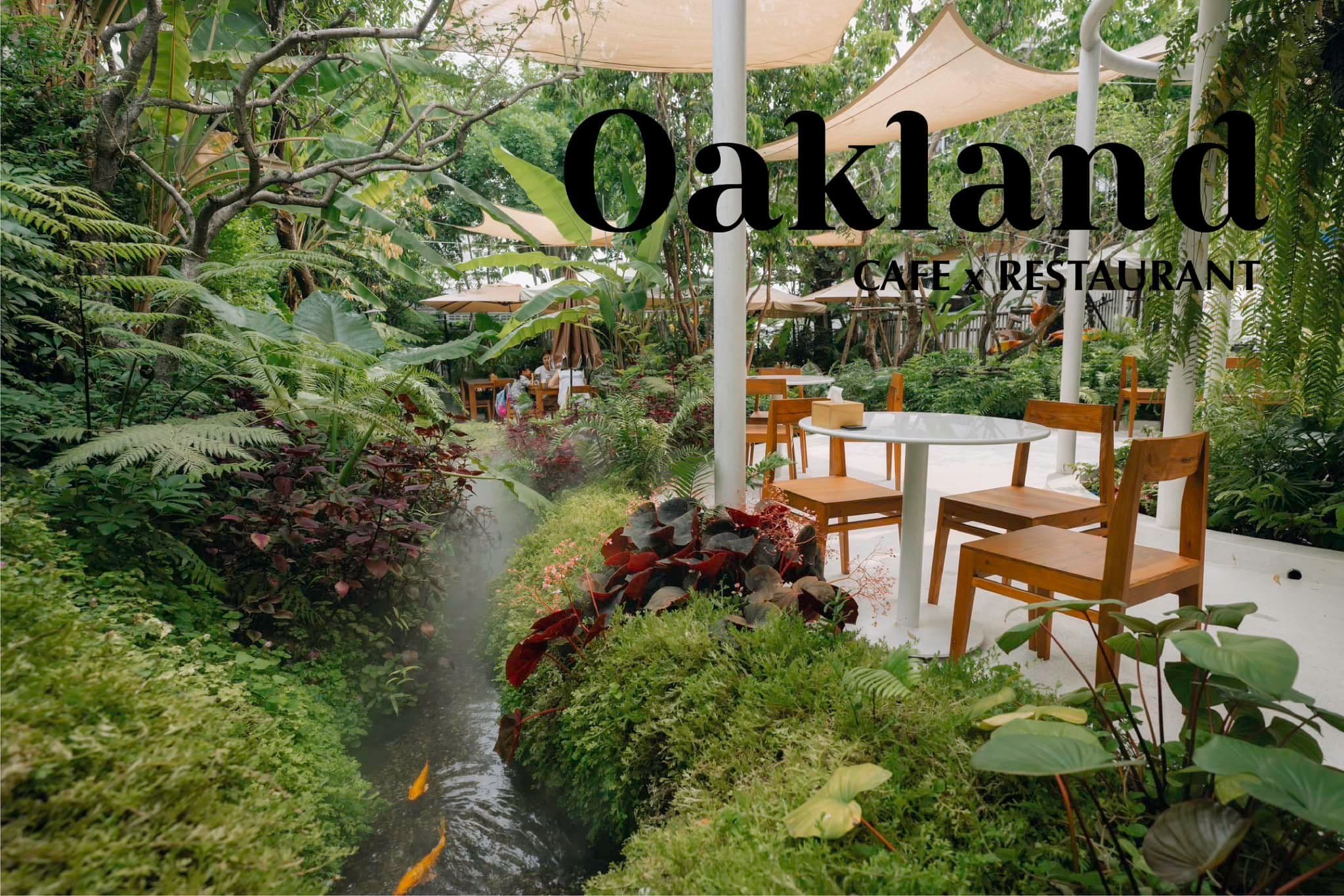 Oakland Cafe x Restaurant