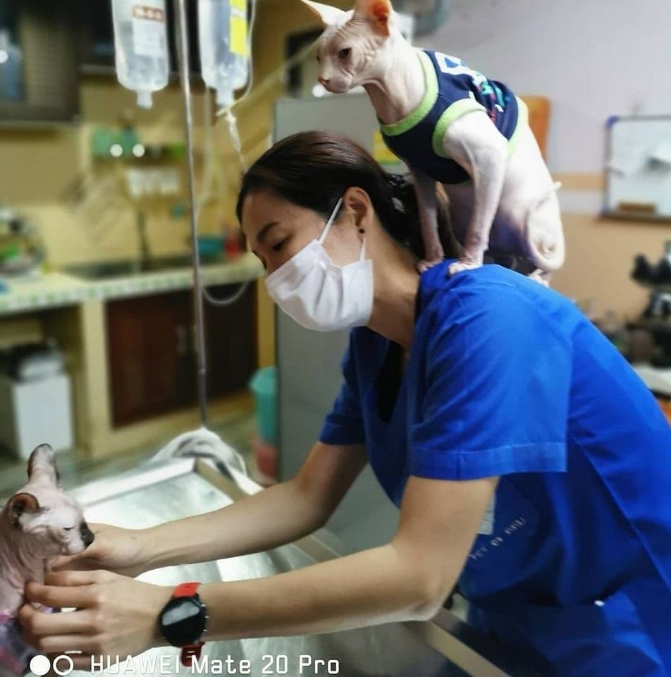 คลินิกรวมพรสัตวแพทย์