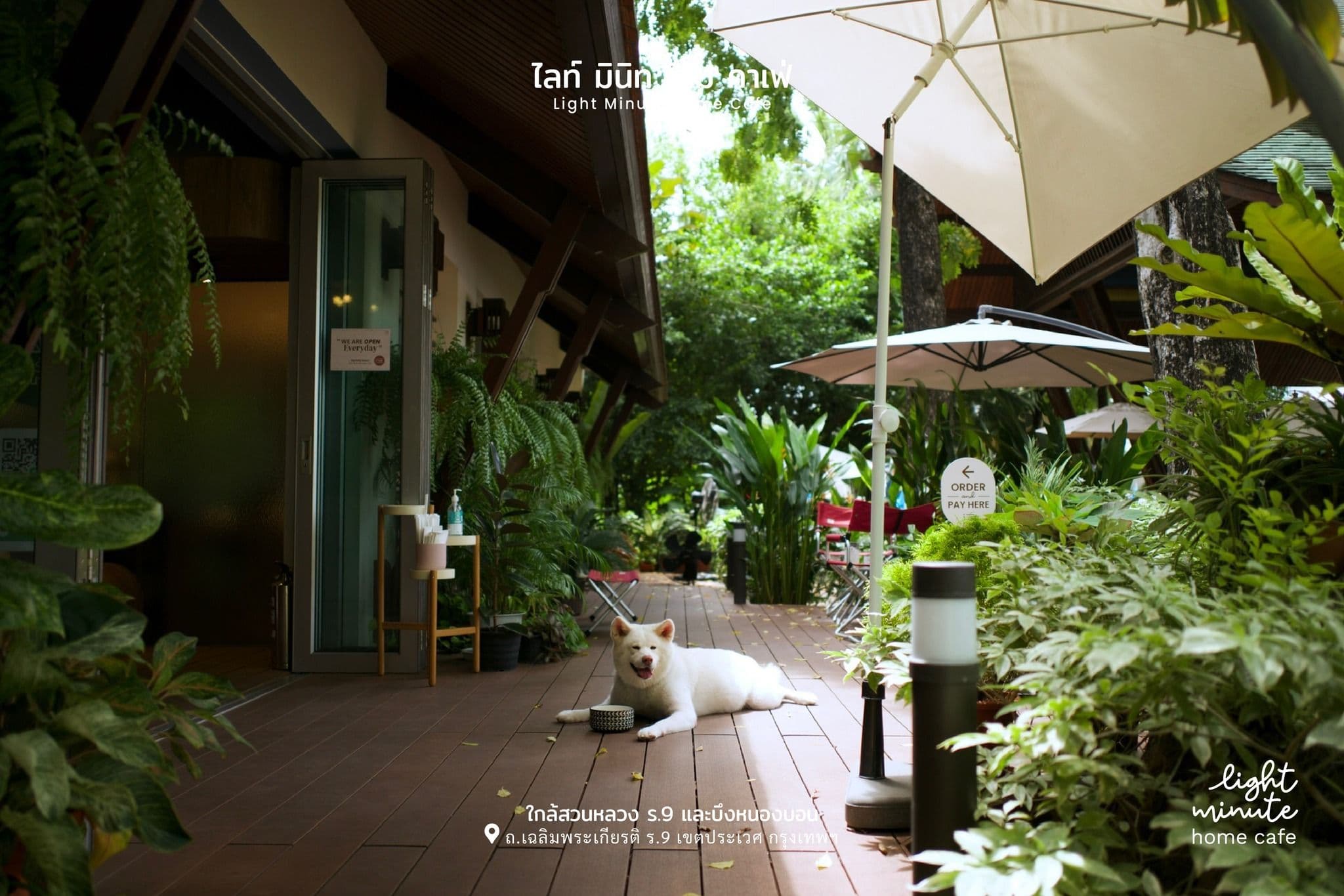 Light Minute Home Cafe