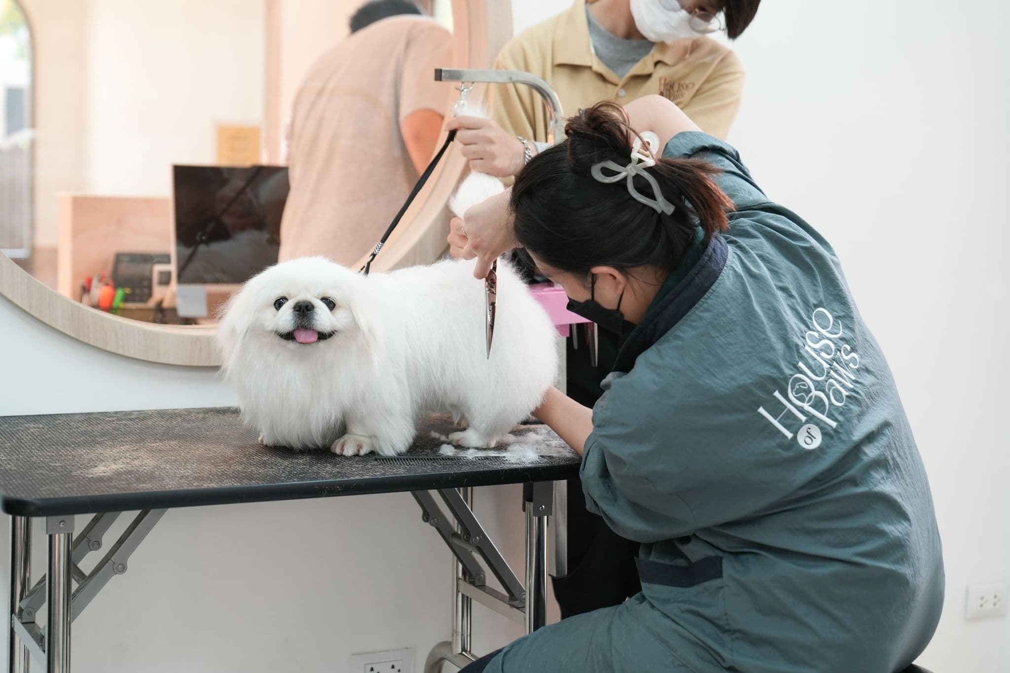 House Of Paws image 3