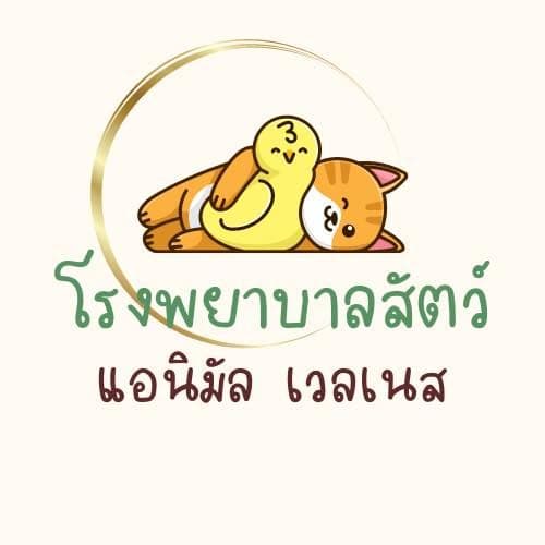 โรงพยาบาลสัตว์ ด็อก & แคท เฮลท์เซนเตอร์ ระยอง