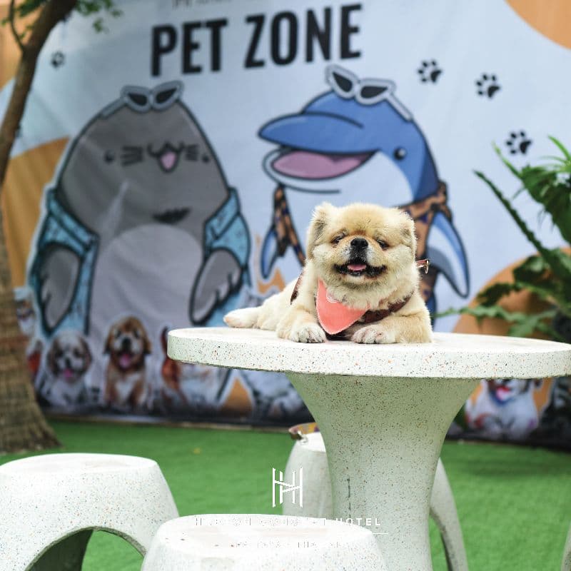 Heeton Concept Hotel Pattaya by Compass Hospitality