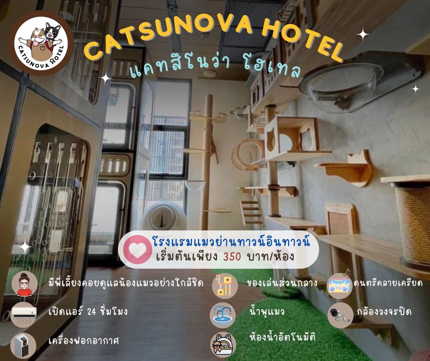 Catsunova Hotel