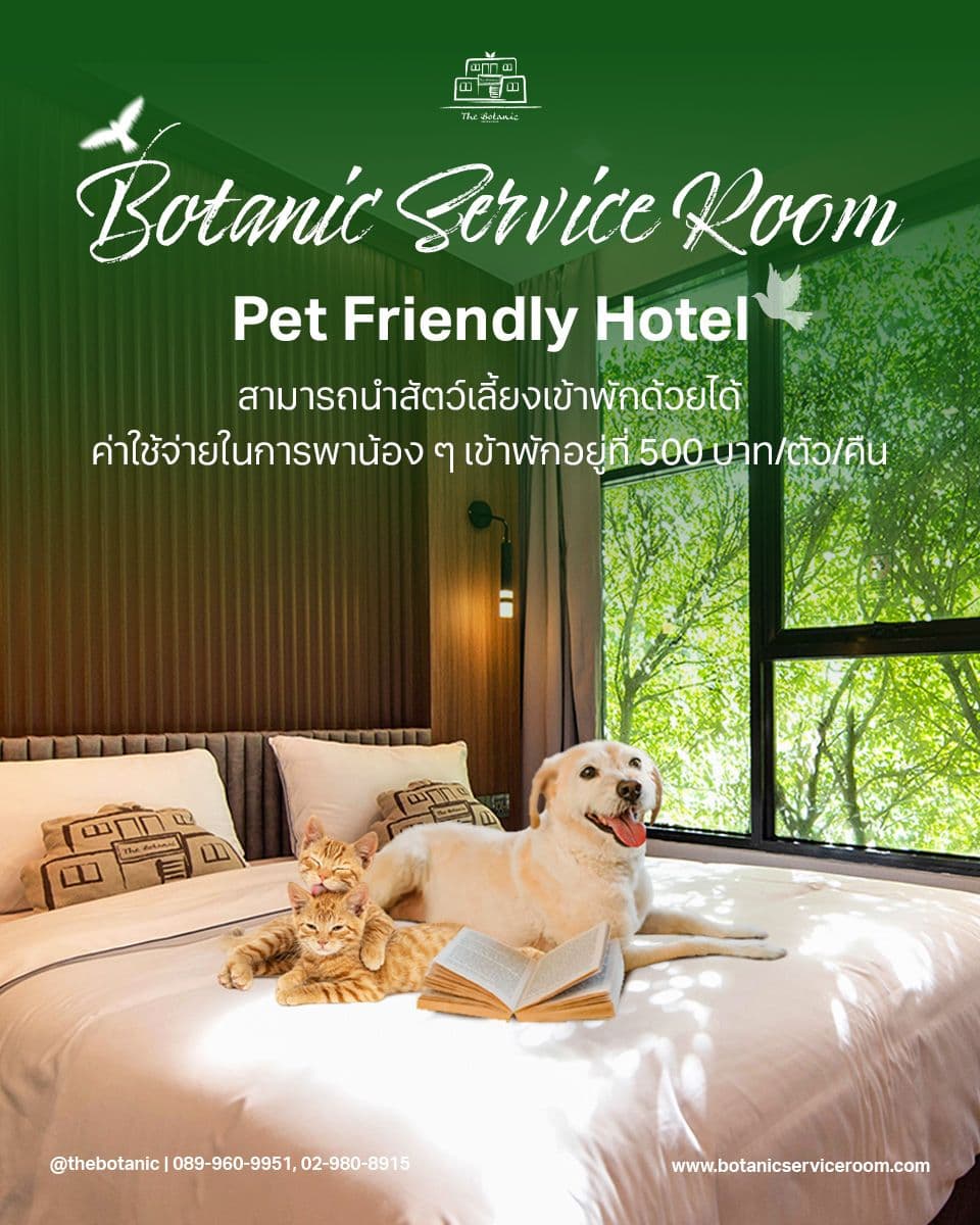 Botanic Service Room @Impact Muang Thong Thani