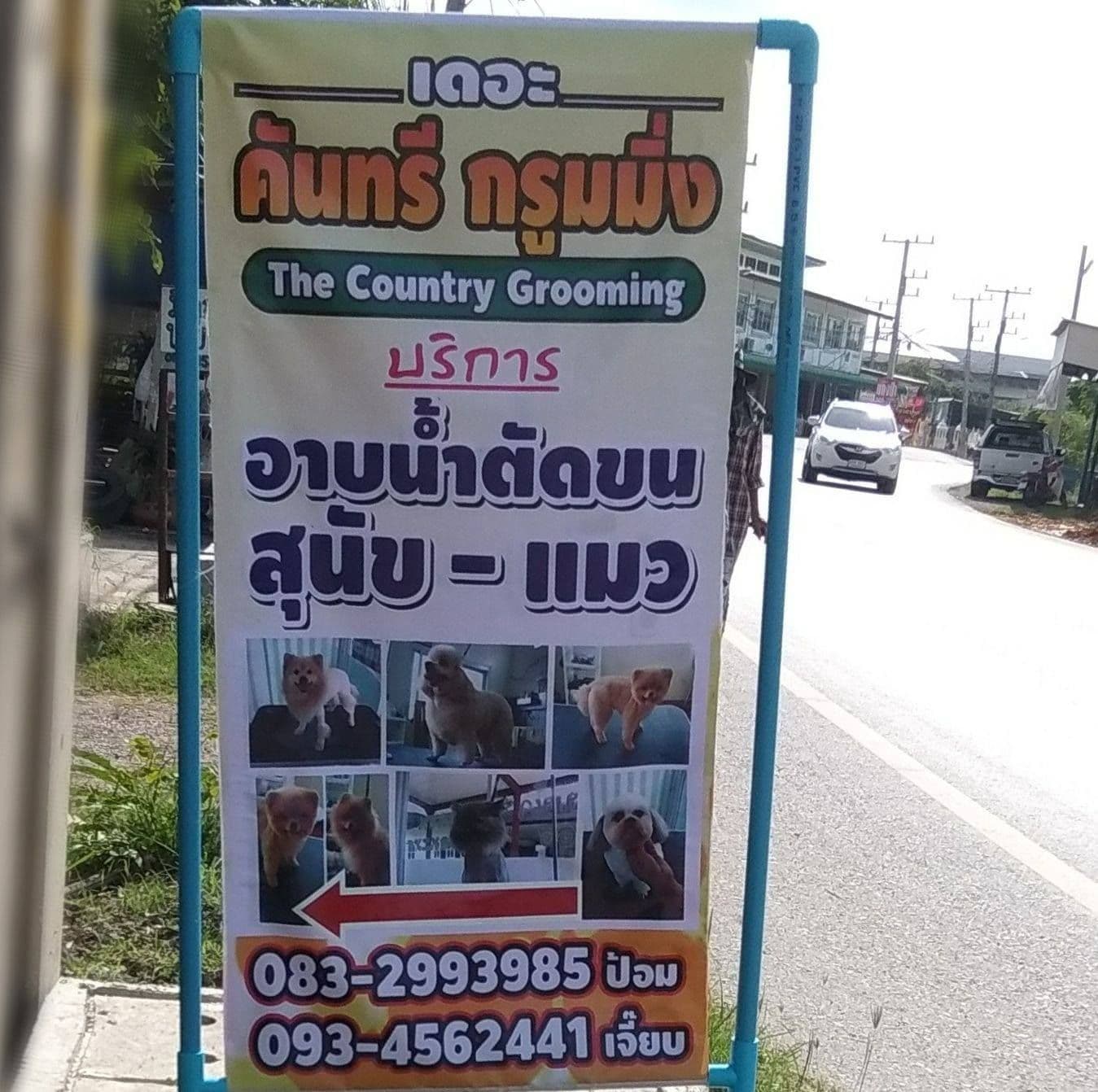 เดอะ คันทรี กรูมมิ่ง