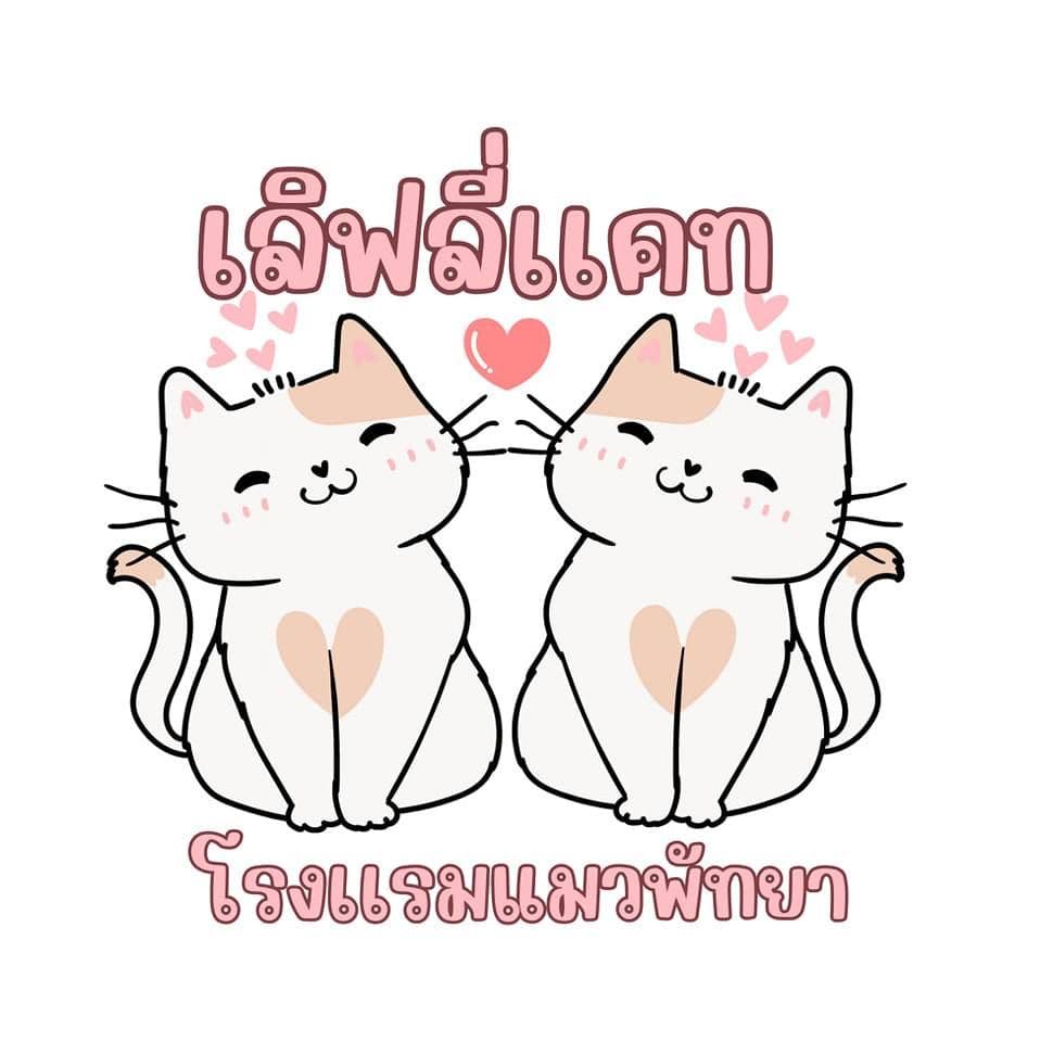 Lovely Cat Hotel Pattaya