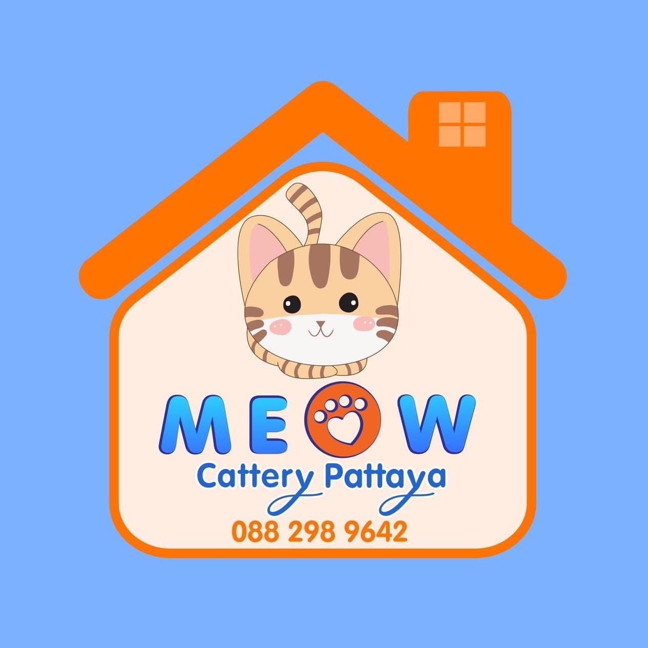 โรงแรมแมว Meow cattery pattaya