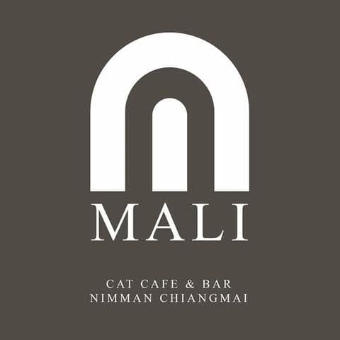 Mali Cat Cafe & Bar