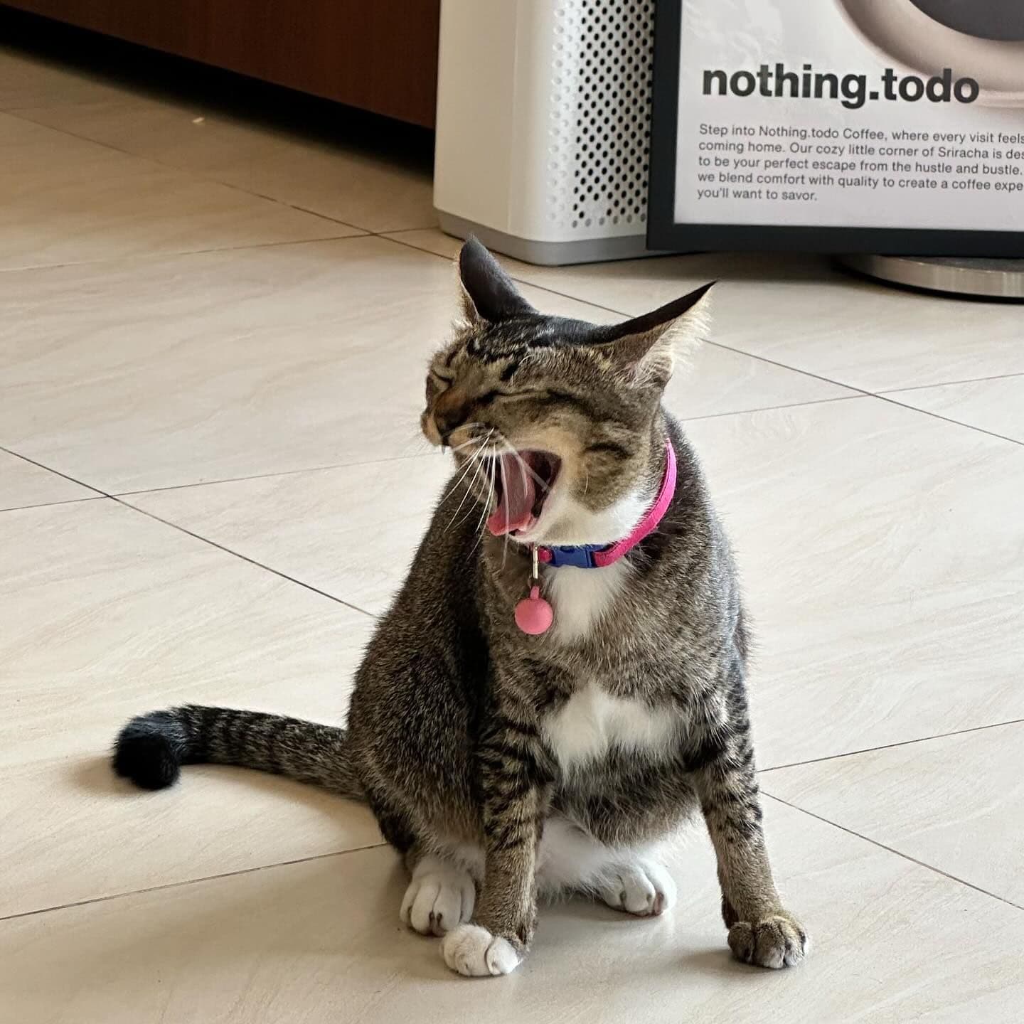 Nothing.todo Coffee image 3