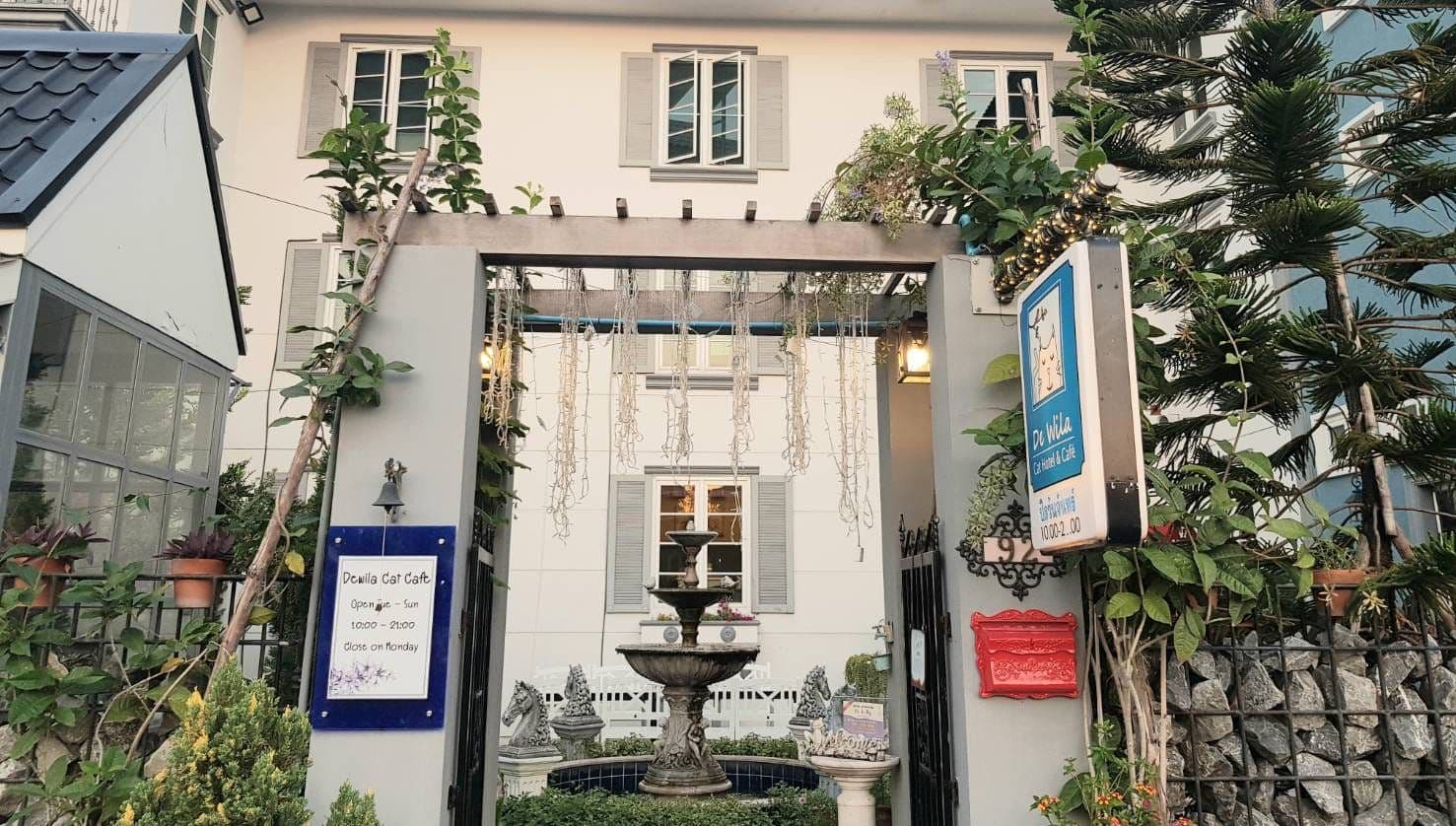 De Wila Cat Hotel & Cafe