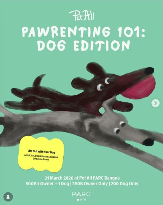 Pawrenting 101 : Dog Edition