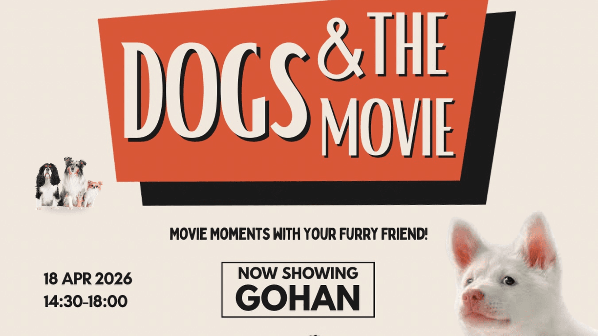 Dogs & the MOVIES by BKK DOG SCTY x @looklook.pet