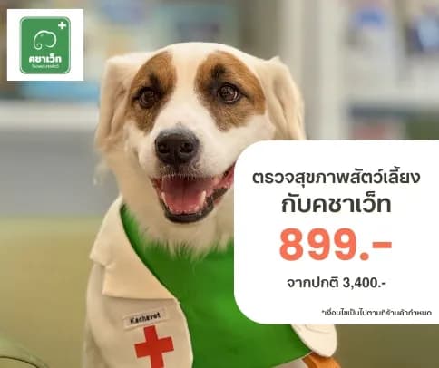 โปรแกรมตรวจสุขภาพสัตว์เลี้ยงกับคชาเว็ท