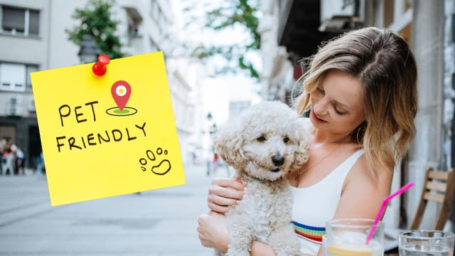 9 พิกัดสถานที่เที่ยว Pet Friendly ฉลองวันแม่ 💙