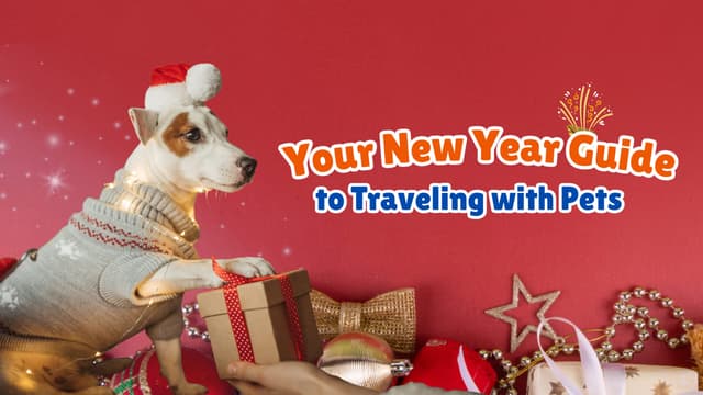 Your New Year Guide to Traveling with Pets