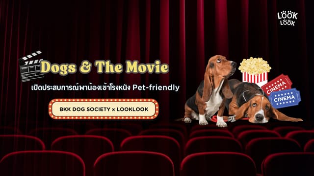 Dogs & The Movie เมื่อการดูหนังไม่ได้มีแค่เรา แต่ยังมีเจ้าสี่ขานั่งอยู่ข้างกัน