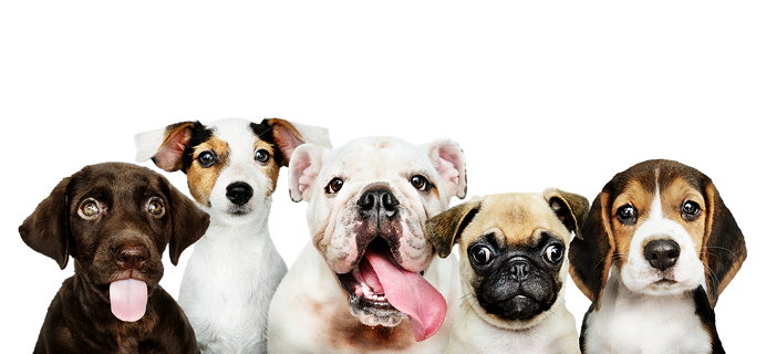 Places banner background
